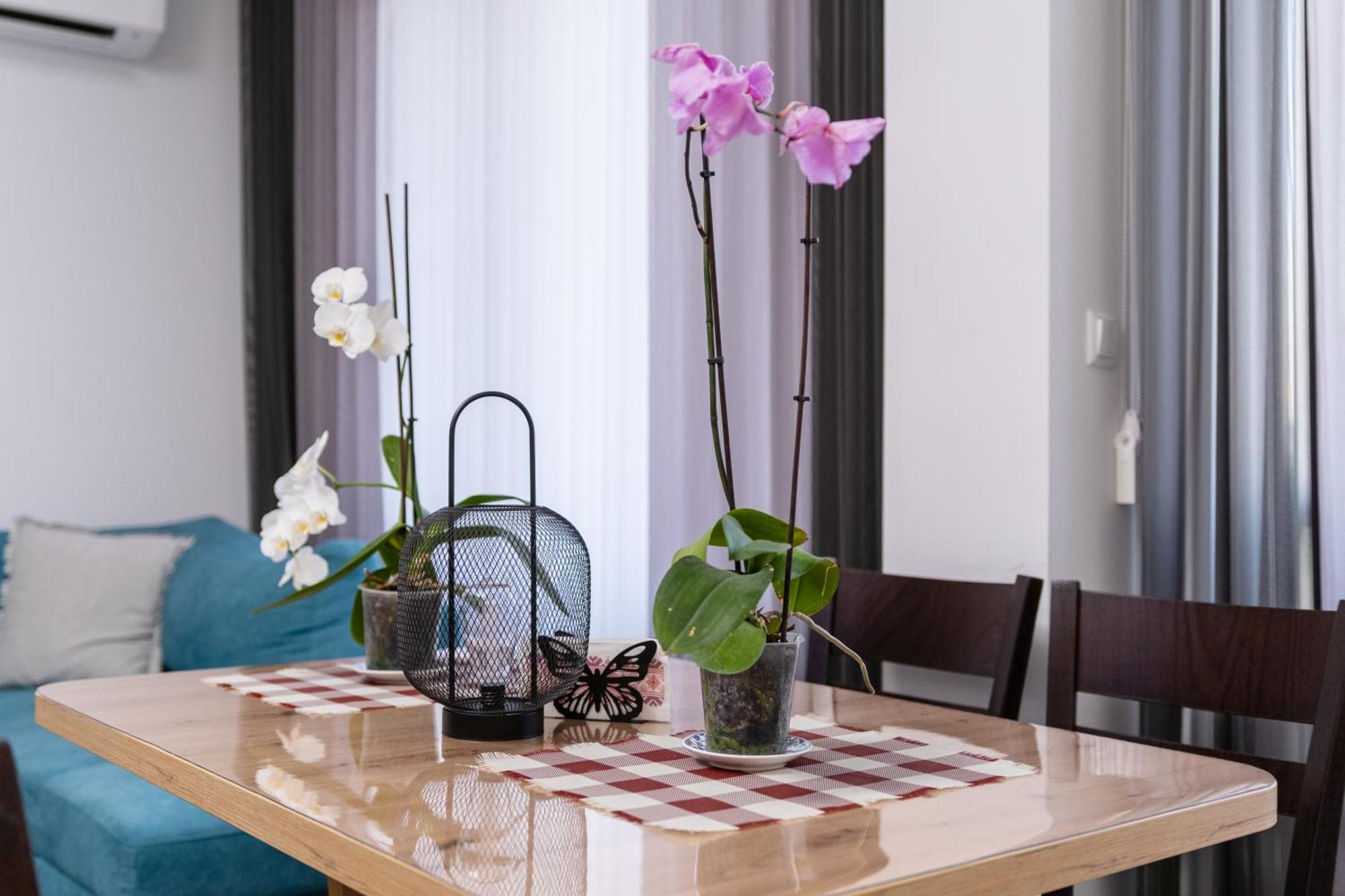 1-Bedroom Apartment With Free Private Parking Пловдив Экстерьер фото